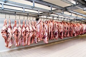 EXPOMEAT 2019 A Minerva irá retomar as atividades na sua unidade de abate de bovinos em Várzea Grande (MT) na próxima segunda-feira (24), mesmo dia em que a JBS volta a operar normalmente em seis unidades que estavam paradas...
