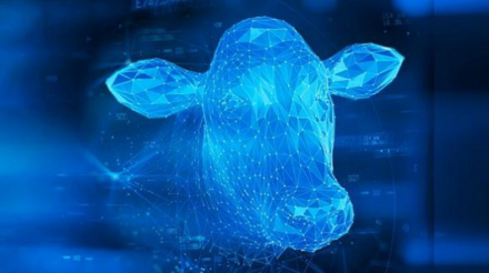 EXPOMEAT 2019 Tivemos a notícia de uma alta histórica no preço da arroba do boi gordo, devido a guerra comercial entre China/Estados Unidos e da peste suína africana, consequentemente fez a carne brasileira cair na...