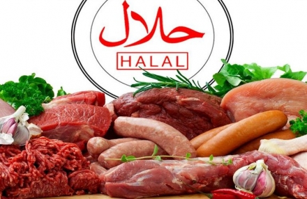 EXPOMEAT 2019 Em meio à turbulência do atual cenário, o mercado halal segue em expansão. Para a Organização da ONU para Alimentação e Agricultura (FAO), se o ritmo de consumo continuar, o...