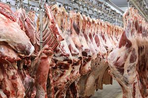 EXPOMEAT 2021 Frigoríficos de carne bovina mato-grossenses iniciaram 2018 com aumento no uso da capacidade e elevação dos abates, segundo informações divulgadas pelo Instituto Mato-Grossense de Economia...