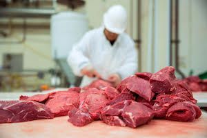 EXPOMEAT 2021 - lll Feira Internacional da Indústria de Processamento de Proteína Animal e Vegetal Os abates de bovinos no Brasil somaram 30,83 milhões de cabeças no ano passado, alta de 3,8% ante 2016, o primeiro crescimento anual...