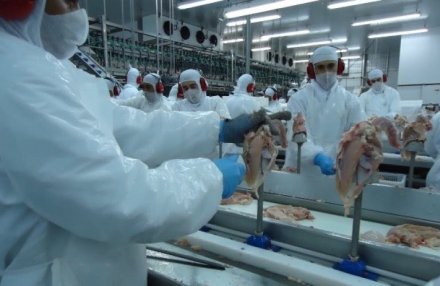 EXPOMEAT 2021 - lll Feira Internacional da Indústria de Processamento de Proteína Animal e Vegetal As auditorias para adesão ao Sistema Brasileiro de Inspeção de Produtos de Origem Animal (Sisbi-POA) passarão a ser...