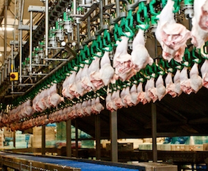 EXPOMEAT 2021 - lll Feira Internacional da Indústria de Processamento de Proteína Animal e Vegetal O Brasil aumentou o volume de vendas externas de carne de frango em 14,9% em janeiro em relação ao mesmo mês de 2019, com a...