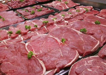 EXPOMEAT 2021 - lll Feira Internacional da Indústria de Processamento de Proteína Animal e Vegetal Portal DBO As exportações de carne bovina in natura referentes aos dez primeiros dias úteis de fevereiro totalizaram...