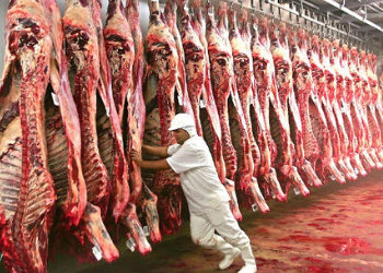 EXPOMEAT 2021 - lll Feira Internacional da Indústria de Processamento de Proteína Animal e Vegetal Frigoríficos brasileiros poderão retomar as vendas de carne bovina in natura para os Estados Unidos, após autoridades...