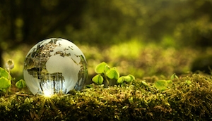 EXPOMEAT 2021 - lll Feira Internacional da Indústria de Processamento de Proteína Animal e Vegetal A JBS Ambiental, divisão da JBS Novos Negócios responsável pela gestão de resíduos nas operações...