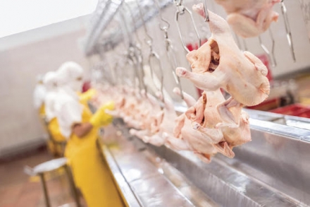 EXPOMEAT 2021 - lll Feira Internacional da Indústria de Processamento de Proteína Animal e Vegetal A Lar Cooperativa Agroindustrial irá ampliar sua capacidade de abates de frango a partir de setembro após fechar contrato de...