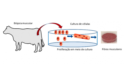 EXPOMEAT 2021 - lll Feira Internacional da Indústria de Processamento de Proteína Animal e Vegetal Estar atento às inovações cientificas é de suma importância para que a indústria de proteína...