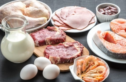 EXPOMEAT 2021 - lll Feira Internacional da Indústria de Processamento de Proteína Animal e Vegetal No mês de agosto, foram realizados 94 turnos adicionais de abate requisitados de forma emergencial pelos abatedouros frigoríficos de...
