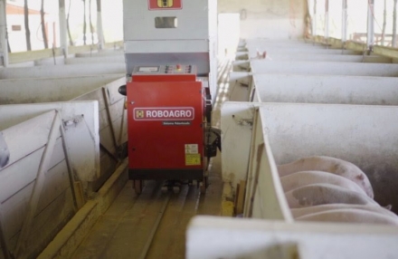 EXPOMEAT 2022 - lll Feira Internacional da Indústria de Processamento de Proteína Animal e Vegetal A demanda por um robô brasileiro que alimenta suínos enquanto toca música clássica disparou neste ano, em um momento em...
