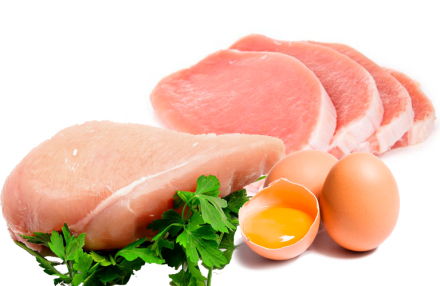 EXPOMEAT 2022 - lll Feira Internacional da Indústria de Processamento de Proteína Animal e Vegetal A produção, as exportações e o consumo per capita de carne de frango, carne suína e de ovos devem encerrar 2020...