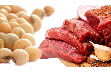 EXPOMEAT 2022 - lll Feira Internacional da Indústria de Processamento de Proteína Animal e Vegetal Alcançando a segunda melhor marca histórica, o agronegócio brasileiro gerou uma receita de US$ 100,8 bilhões em 2020,...