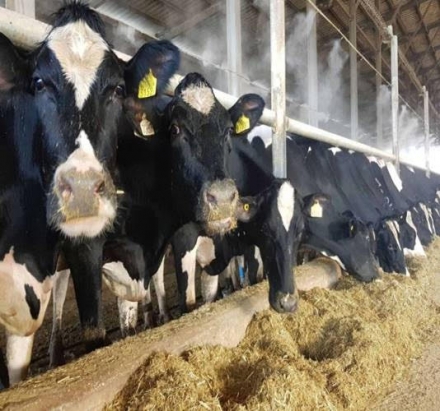 EXPOMEAT 2021 - lll Feira Internacional da Indústria de Processamento de Proteína Animal e Vegetal As questões ambientais voltaram a ser prioridade para os Estados Unidos com o governo Joe Biden. Além do retorno para o Acordo de...