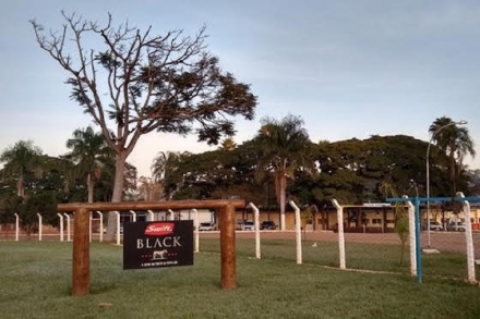 EXPOMEAT 2021 - lll Feira Internacional da Indústria de Processamento de Proteína Animal e Vegetal A planta da Friboi em Senador Canedo (GO) renovou sua certificação global de segurança dos alimentos que, entre outros...