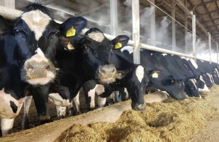 EXPOMEAT 2021 - lll Feira Internacional da Indústria de Processamento de Proteína Animal e Vegetal O Valor Bruto da Produção Agropecuária (VBP) está estimado em R$ 1,002 trilhão para este ano de 2021, informou...