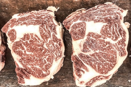 EXPOMEAT 2021 - lll Feira Internacional da Indústria de Processamento de Proteína Animal e Vegetal A origem da raça de gado angus remonta aproximadamente ao ano de 1500, nas cidades escocesas de Aberdeen e Forfar (localizadas no condado...