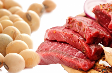 EXPOMEAT 2021 - lll Feira Internacional da Indústria de Processamento de Proteína Animal e Vegetal O Produto Interno Bruto (PIB) do agronegócio cresceu 2,06% em dezembro e fechou o ano de 2020 com uma expansão recorde de 24,31%, na...