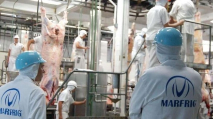 EXPOMEAT 2021 - lll Feira Internacional da Indústria de Processamento de Proteína Animal e Vegetal A Marfrig já observa a retomada da demanda chinesa por carne bovina brasileira após o período do Ano Novo chinês, com...