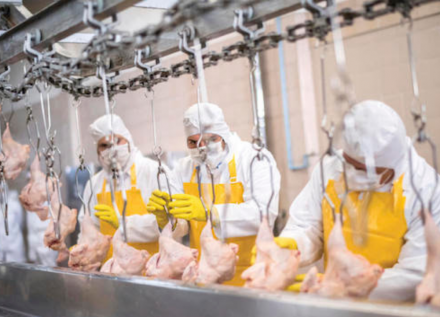 EXPOMEAT 2021 - lll Feira Internacional da Indústria de Processamento de Proteína Animal e Vegetal Os abates brasileiros de frangos e suínos foram recordes em 2020, enquanto os de bovinos caiu pela primeira vez em três anos, segundo...
