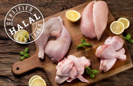 EXPOMEAT 2022 - lll Feira Internacional da Indústria de Processamento de Proteína Animal e Vegetal Que o mercado árabe tem se destacado já não é novidade. Contudo, entender as perspectivas e a...