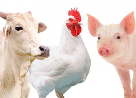 EXPOMEAT 2022 - lll Feira Internacional da Indústria de Processamento de Proteína Animal e Vegetal As exportações de carnes começam a se recuperar após o fraco desempenho nos dois primeiros meses do ano. Os embarques...