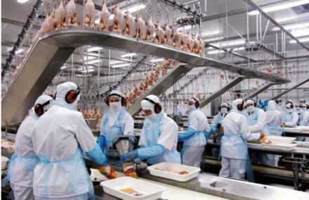 EXPOMEAT 2021 - lll Feira Internacional da Indústria de Processamento de Proteína Animal e Vegetal Empresas da cadeia de carne instaladas no Paraná tocam projetos para expandir a produção, já tendo em vista a abertura...