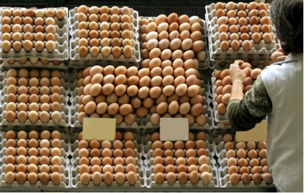 EXPOMEAT 2021 - lll Feira Internacional da Indústria de Processamento de Proteína Animal e Vegetal A produção de ovos de galinha e o abate de frangos atingiram números históricos na Bahia no primeiro trimestre de...