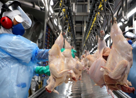 EXPOMEAT 2022 - lll Feira Internacional da Indústria de Processamento de Proteína Animal e Vegetal Principal produtor nacional de proteína animal, o Paraná produziu 1,5 milhão de toneladas de carne no primeiro trimestre de...