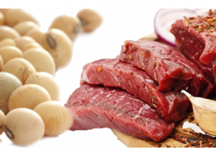 EXPOMEAT 2022 - lll Feira Internacional da Indústria de Processamento de Proteína Animal e Vegetal O Instituto de Pesquisa Econômica Aplicada (Ipea) revisou para cima a nova projeção do valor adicionado do setor...