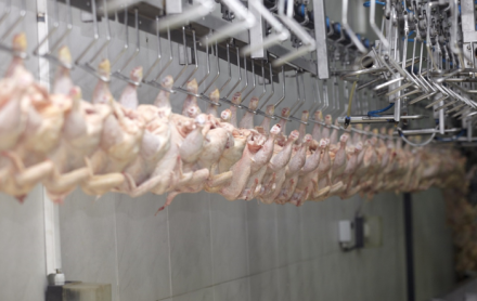EXPOMEAT 2021 - lll Feira Internacional da Indústria de Processamento de Proteína Animal e Vegetal O estado de Santa Catarina exportou 775,6 mil toneladas de carnes no primeiro semestre de 2021, gerando faturamento de US$ 1,5 bilhão, 5,6%...