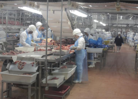 EXPOMEAT 2022 - lll Feira Internacional da Indústria de Processamento de Proteína Animal e Vegetal As cooperativas agropecuárias do Paraná pretendem dobrar nos próximos anos o faturamento alcançado em 2020, que foi de...