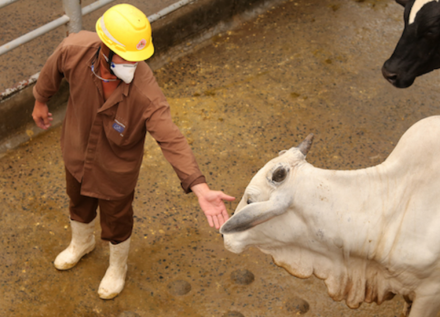 EXPOMEAT 2021 - lll Feira Internacional da Indústria de Processamento de Proteína Animal e Vegetal A Marfrig fechou um contrato com a Universidade Estadual Paulista (Unesp) para realização de pesquisa inédita que tem por...