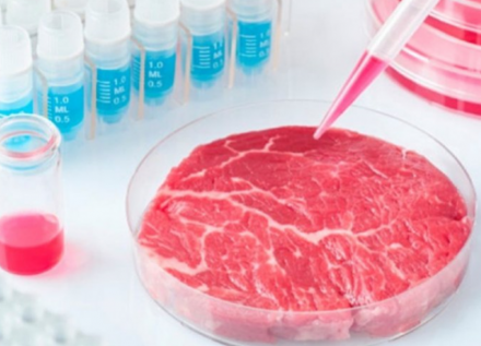 EXPOMEAT 2022 - lll Feira Internacional da Indústria de Processamento de Proteína Animal e Vegetal Ao prometer sabor idêntico e início de uma revolução na pecuária brasileira, BRF confirma chegada de carne...